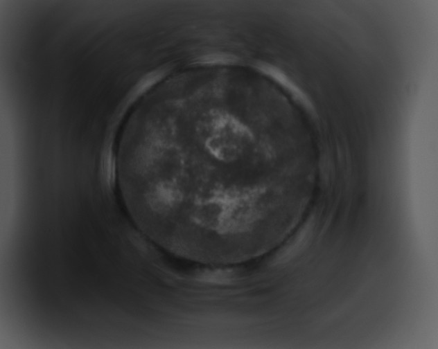 X0000100421221200806061356
