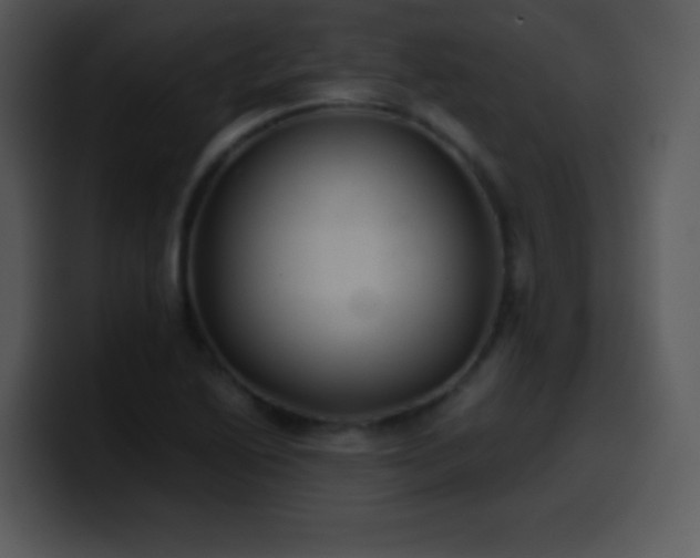 X0000100421222200806061356