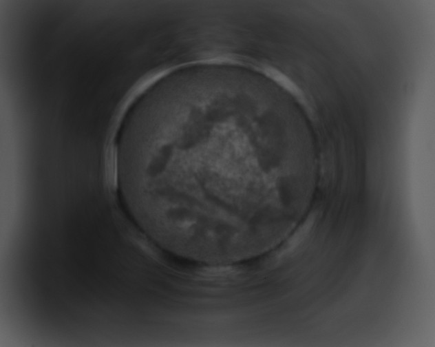 X0000100421223200806061356