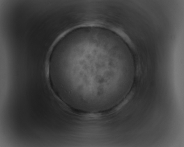 X0000100421224200806061356