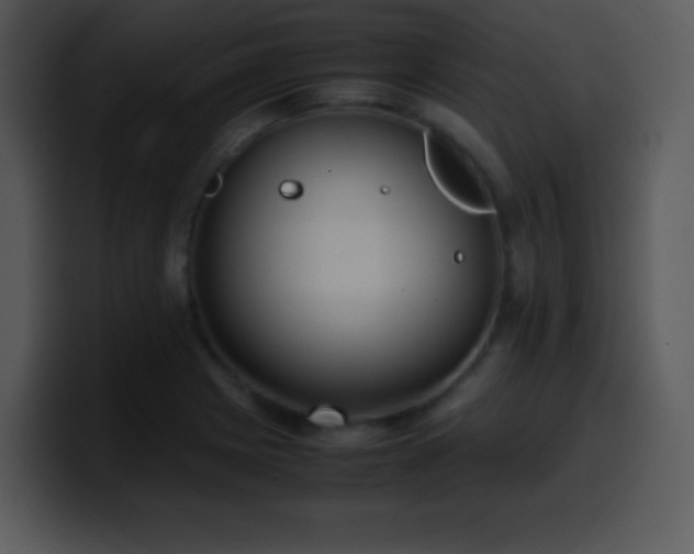X0000100421225200806061356
