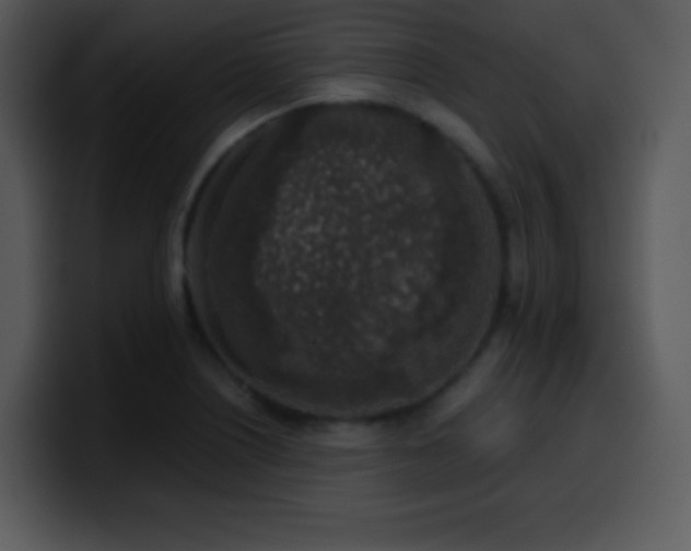 X0000100421226200806061356