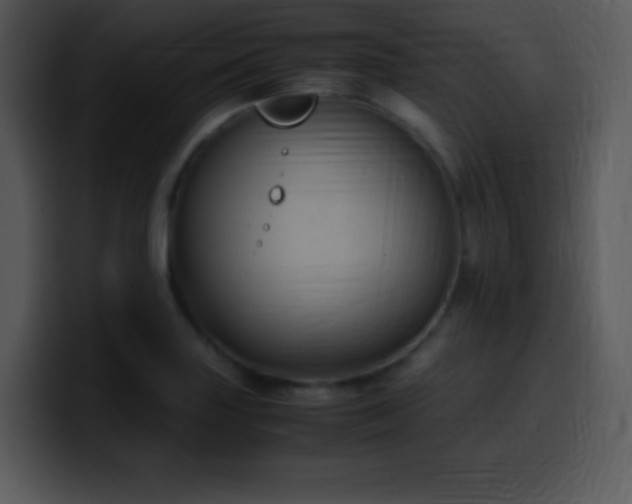 X0000100421227200806061356