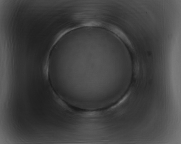 X0000100421228200806061356