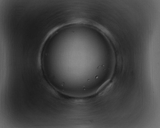 X0000100421230200806061356
