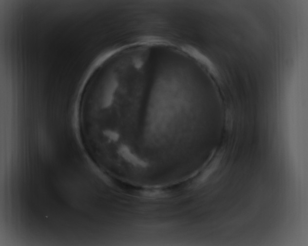 X0000100421231200806061356