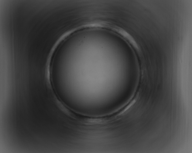 X0000100421232200806061356