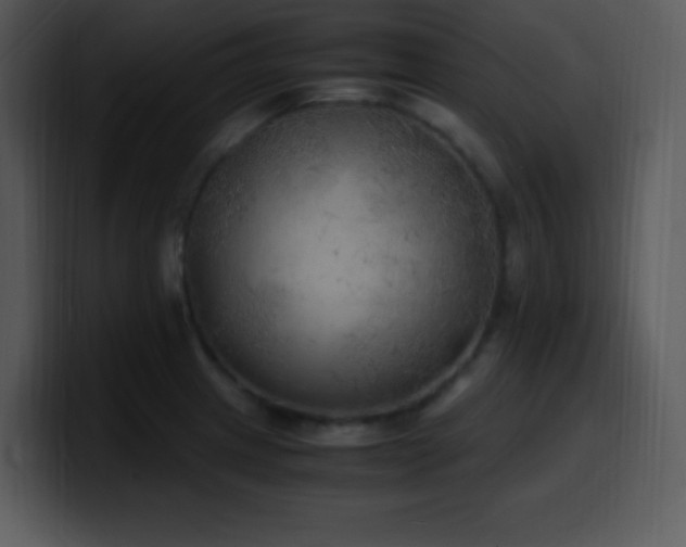 X0000100421233200806061356