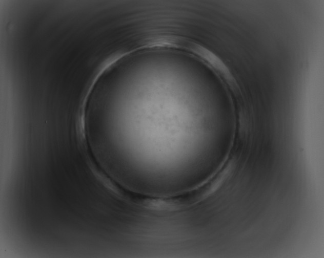 X0000100421234200806061356