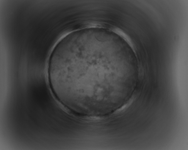 X0000100421235200806061356
