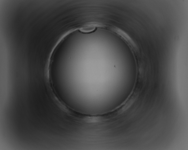 X0000100421236200806061356
