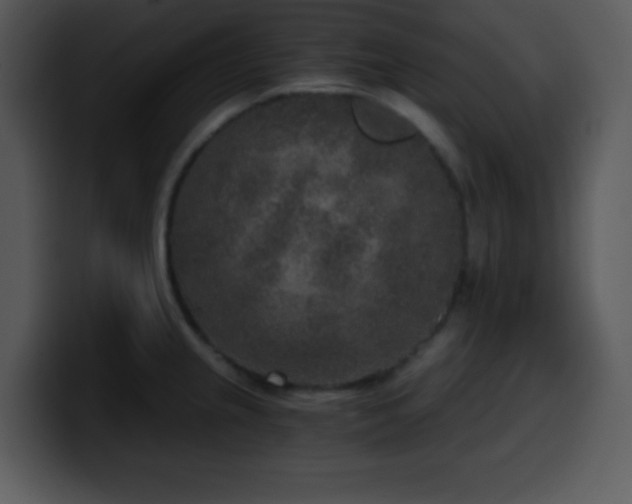 X0000100421237200806061356