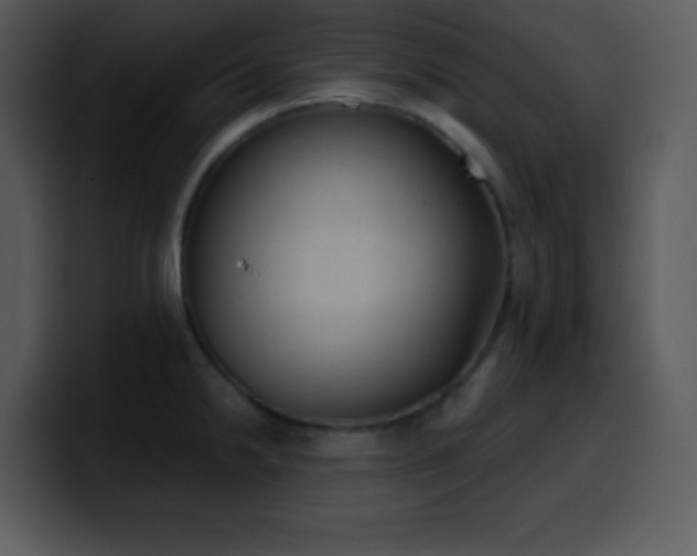 X0000100421238200806061356