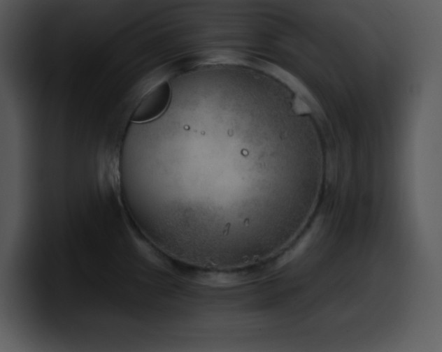 X0000100421241200806061356