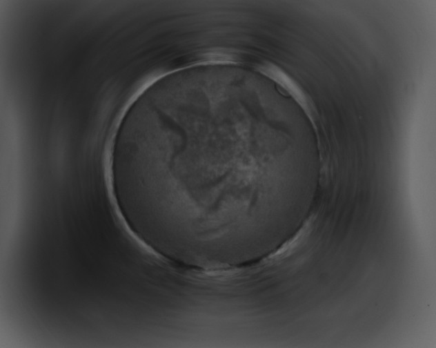X0000100421243200806061356