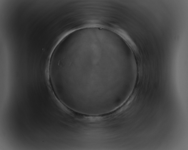 X0000100421244200806061356