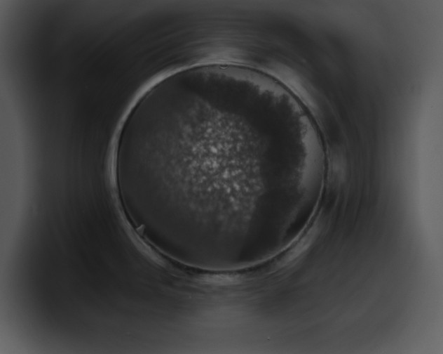 X0000100421246200806061356