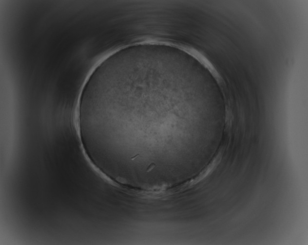 X0000100421247200806061356