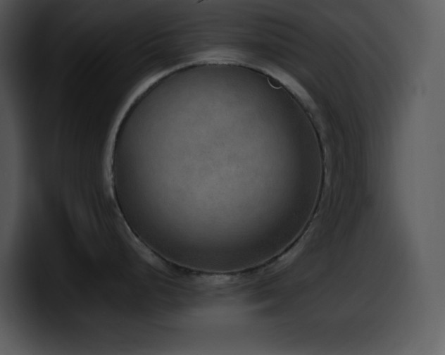 X0000100421248200806061356
