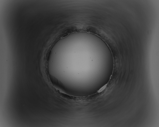 X0000100421249200806061355
