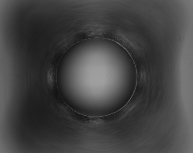 X0000100421250200806061355