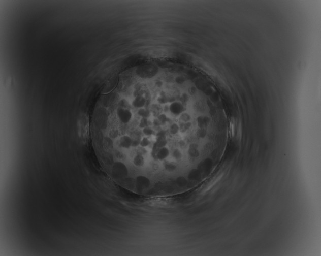 X0000100421251200806061355