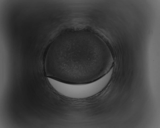 X0000100421252200806061355