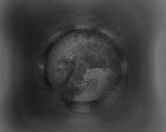 X0000100421254200806061355