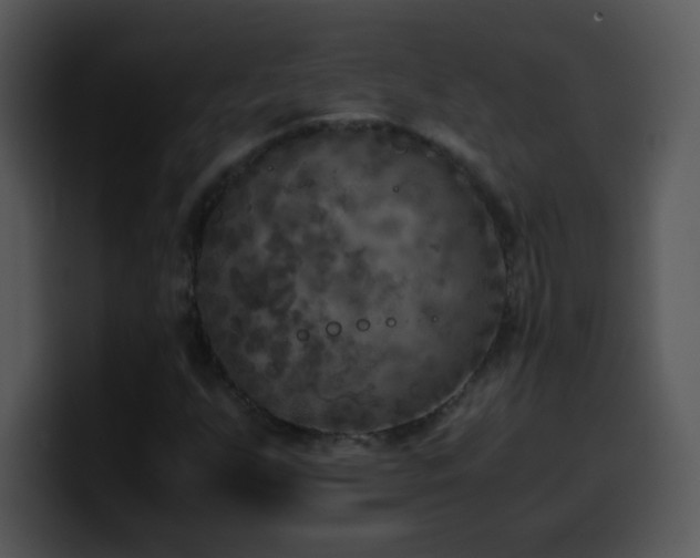 X0000100421255200806061355