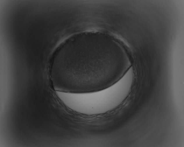 X0000100421256200806061355