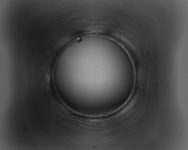 X0000100421257200806061355
