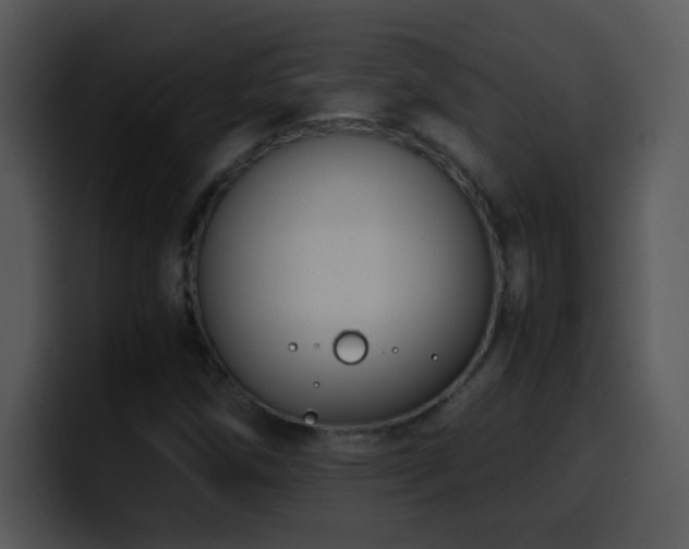 X0000100421258200806061355