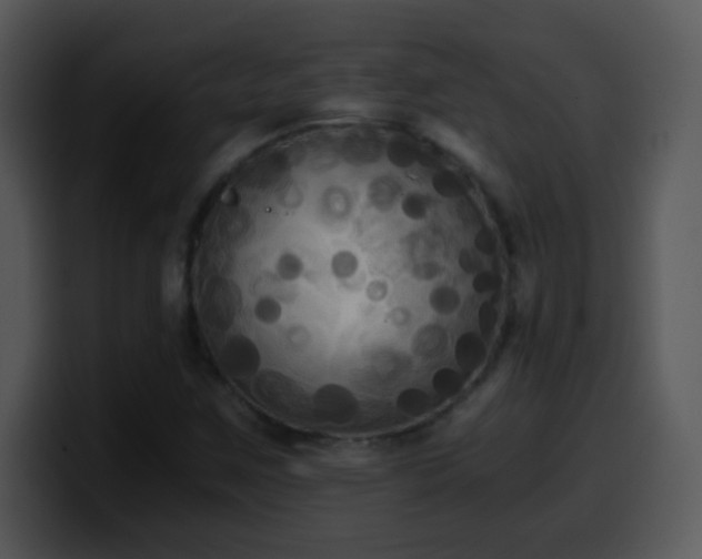 X0000100421259200806061355