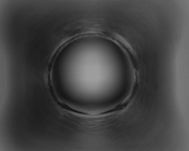 X0000100421260200806061355