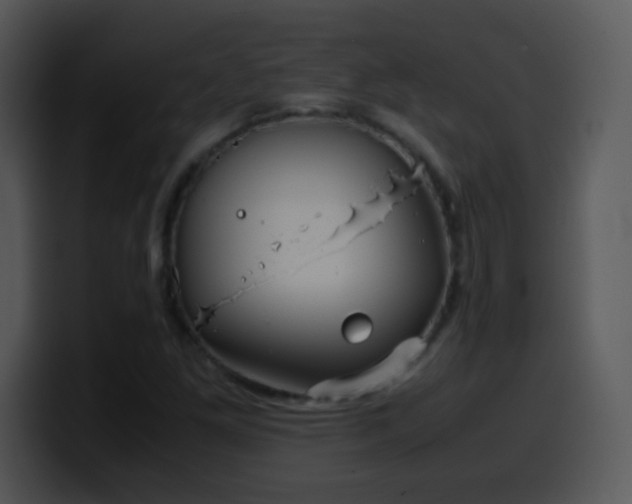 X0000100421261200806061355