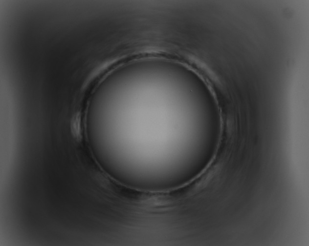 X0000100421262200806061355
