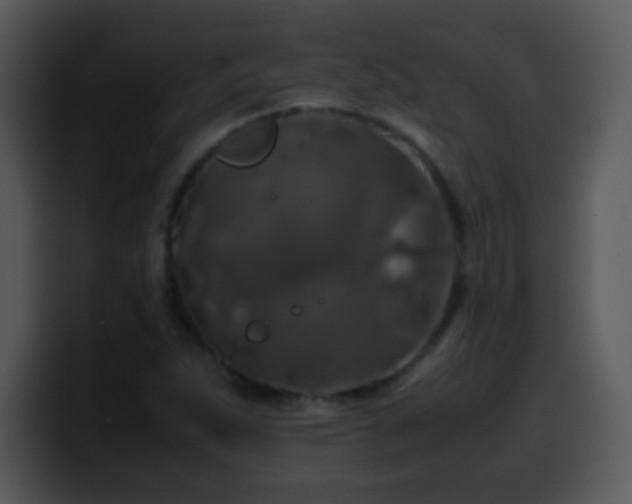 X0000100421263200806061355