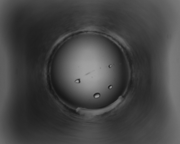 X0000100421264200806061355