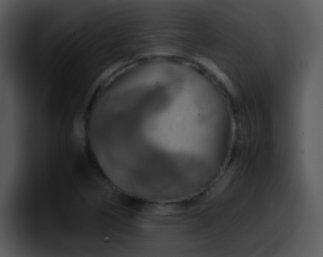 X0000100421266200806061355