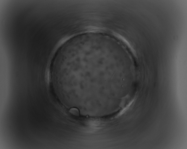 X0000100421267200806061355