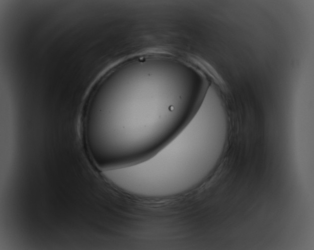 X0000100421268200806061355