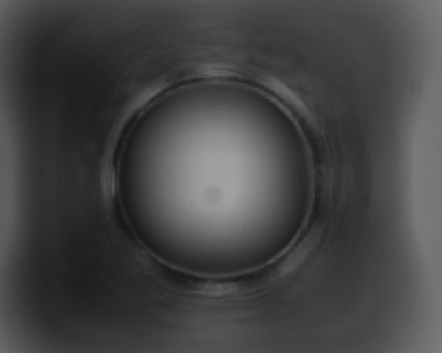 X0000100421269200806061355
