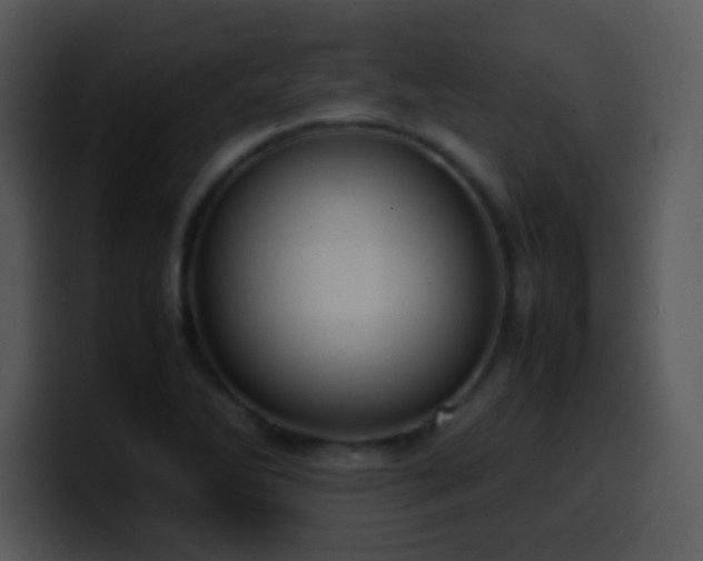 X0000100421270200806061355
