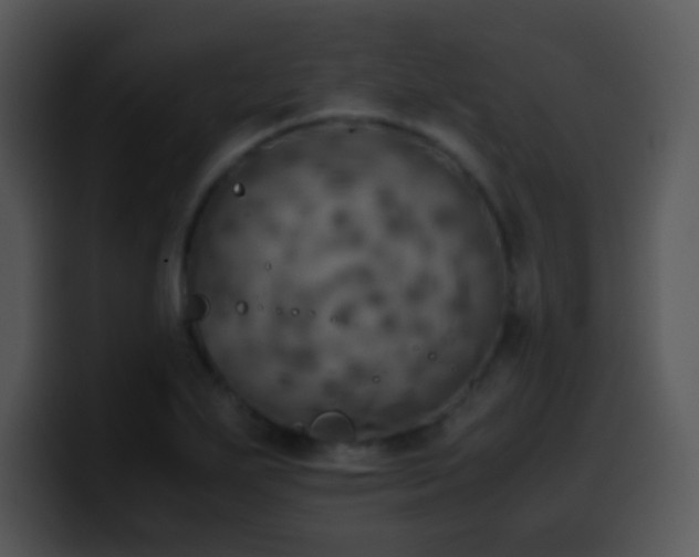 X0000100421271200806061355