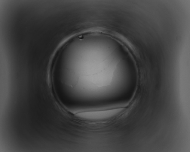 X0000100421272200806061355