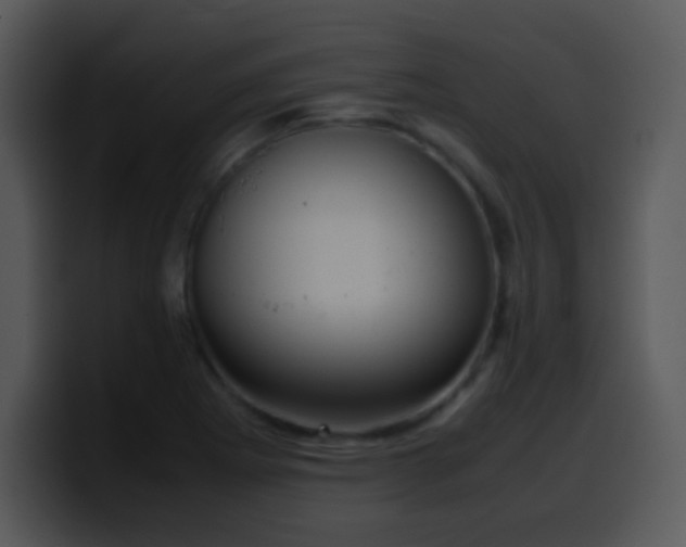 X0000100421273200806061355