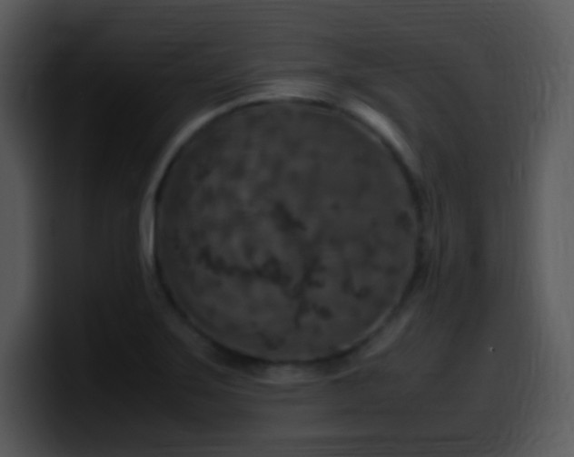 X0000100421275200806061355