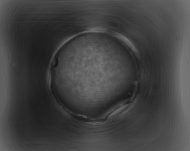 X0000100421276200806061355