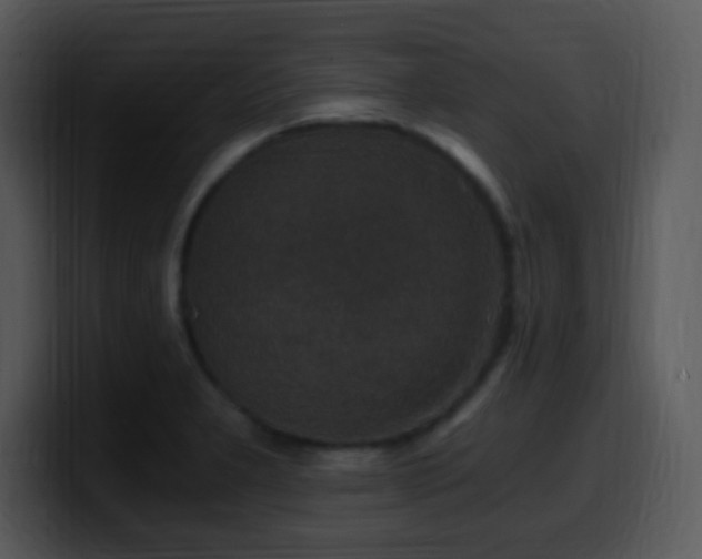X0000100421277200806061355