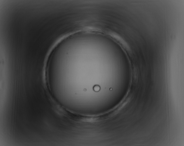 X0000100421278200806061355